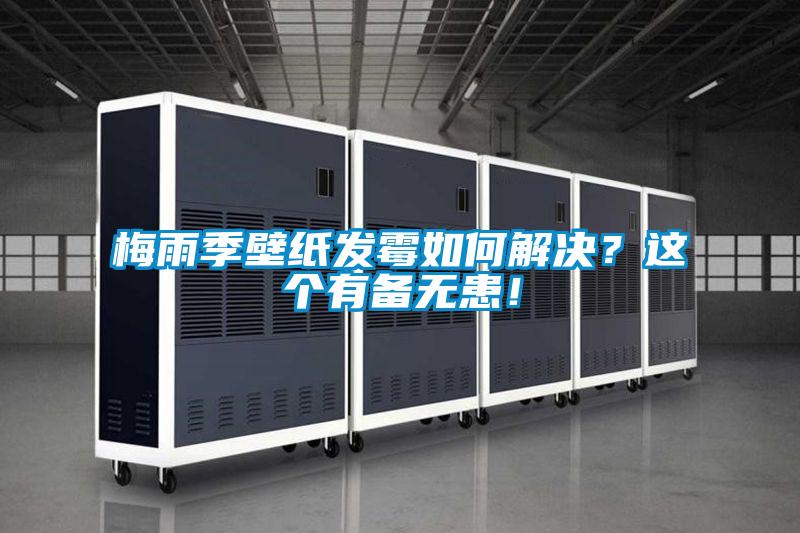 梅雨季壁紙發(fā)霉如何解決？這個(gè)有備無患！