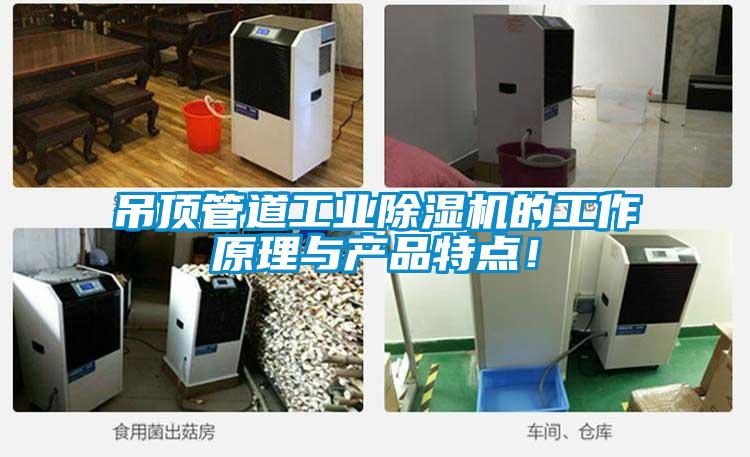 吊頂管道工業除濕機的工作原理與產品特點！