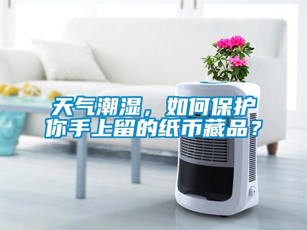 天氣潮濕，如何保護(hù)你手上留的紙幣藏品？