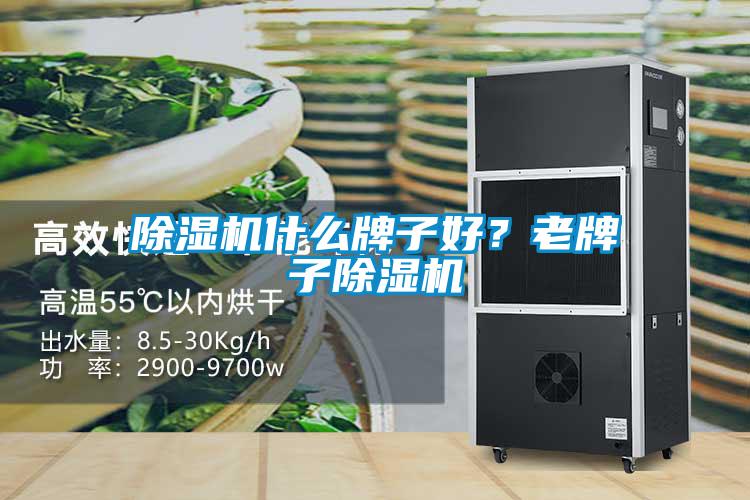 除濕機什么牌子好？老牌子除濕機