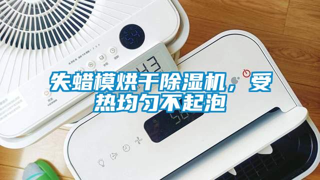 失蠟模烘干除濕機，受熱均勻不起泡