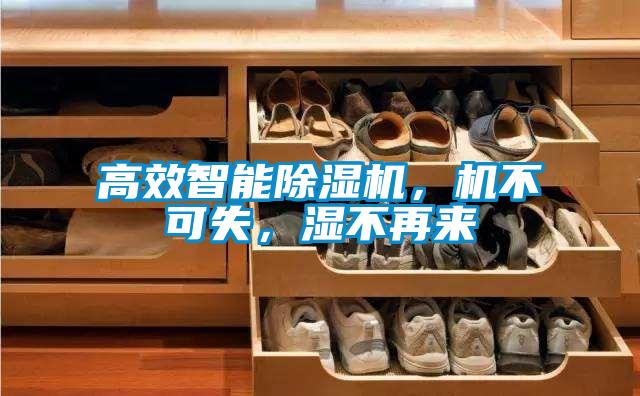 高效智能除濕機，機不可失，濕不再來
