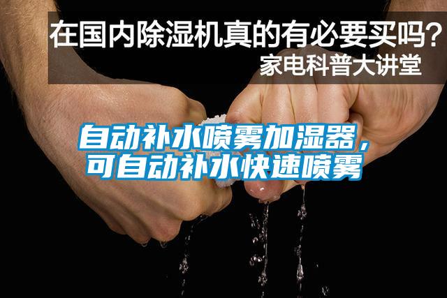自動(dòng)補(bǔ)水噴霧加濕器，可自動(dòng)補(bǔ)水快速噴霧