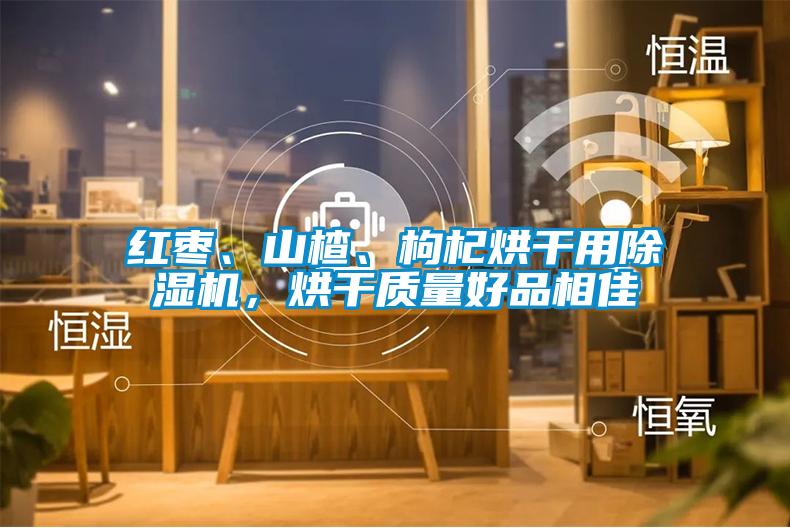 紅棗、山楂、枸杞烘干用除濕機(jī)，烘干質(zhì)量好品相佳