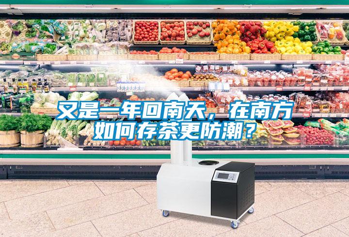 又是一年回南天，在南方如何存茶更防潮？