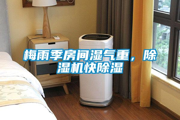 梅雨季房間濕氣重，除濕機快除濕