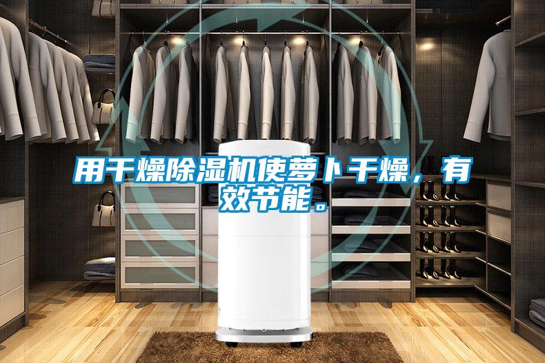 用干燥除濕機(jī)使蘿卜干燥，有效節(jié)能。