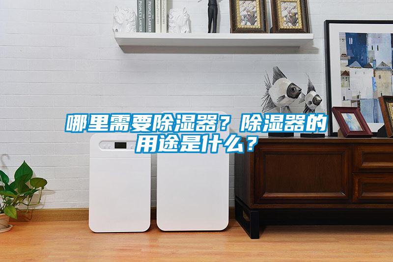 哪里需要除濕器？除濕器的用途是什么？