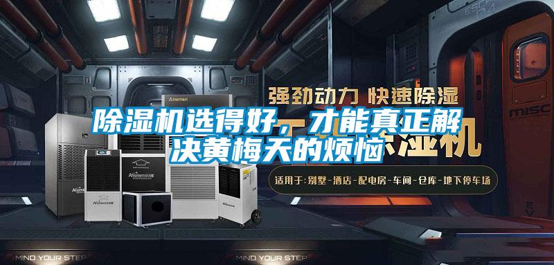 除濕機選得好，才能真正解決黃梅天的煩惱