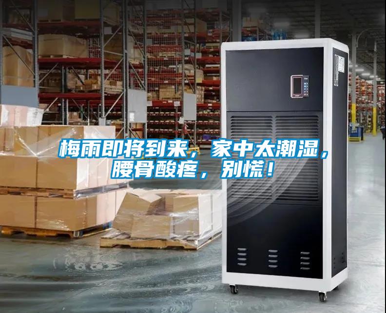 梅雨即將到來，家中太潮濕，腰骨酸疼，別慌！