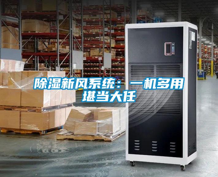 除濕新風(fēng)系統(tǒng)：一機(jī)多用堪當(dāng)大任