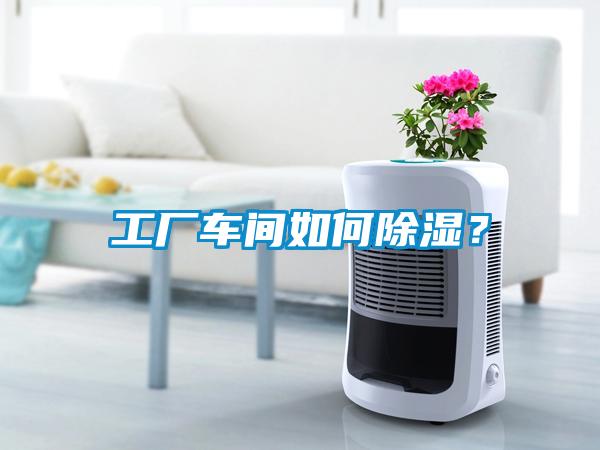 工廠車間如何除濕？