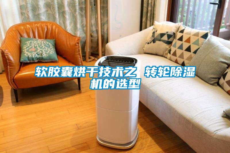 軟膠囊烘干技術(shù)之 轉(zhuǎn)輪除濕機的選型