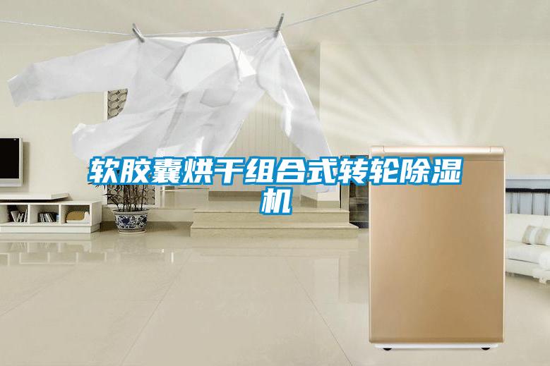 軟膠囊烘干組合式轉(zhuǎn)輪除濕機