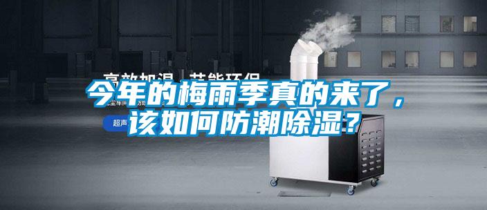 今年的梅雨季真的來了，該如何防潮除濕？