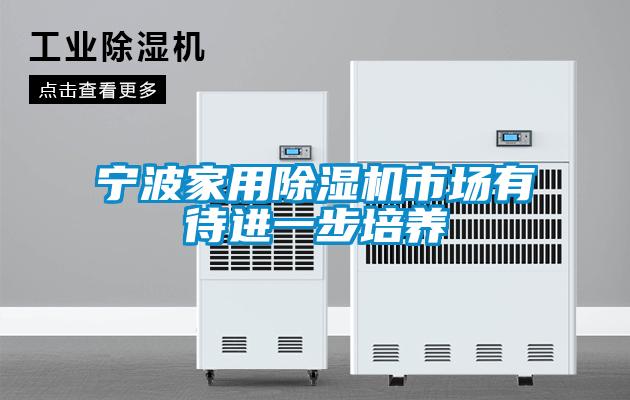 寧波家用除濕機市場有待進(jìn)一步培養(yǎng)