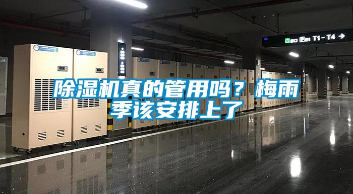 除濕機真的管用嗎？梅雨季該安排上了