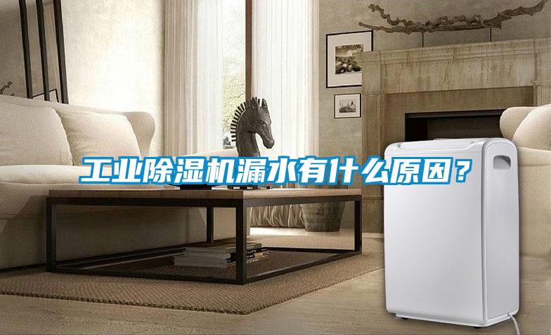 工業(yè)除濕機(jī)漏水有什么原因？