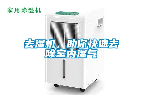去濕機，助你快速去除室內濕氣