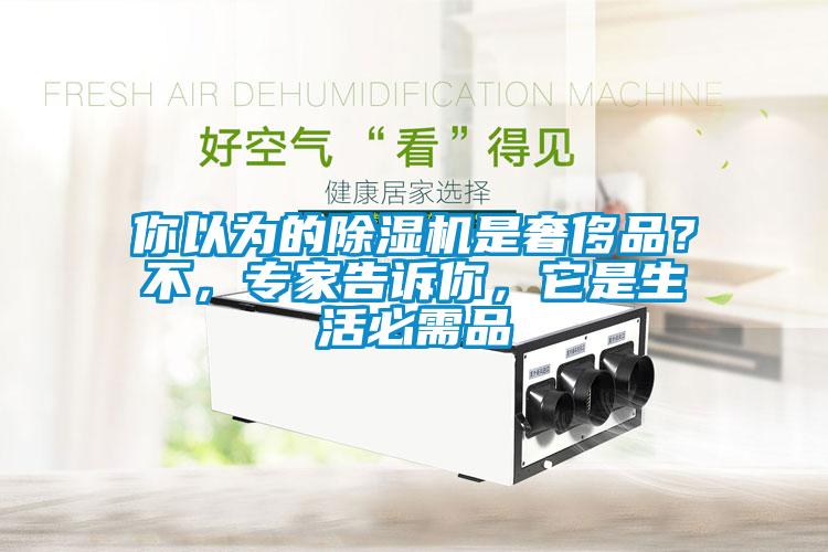 你以為的除濕機是奢侈品？不，專家告訴你，它是生活必需品