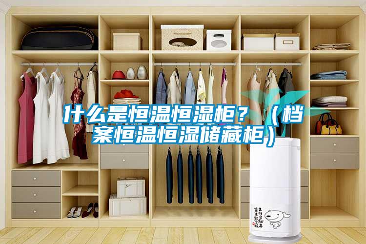 什么是恒溫恒濕柜？（檔案恒溫恒濕儲(chǔ)藏柜）