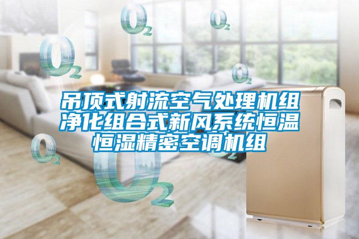 吊頂式射流空氣處理機組凈化組合式新風(fēng)系統(tǒng)恒溫恒濕精密空調(diào)機組