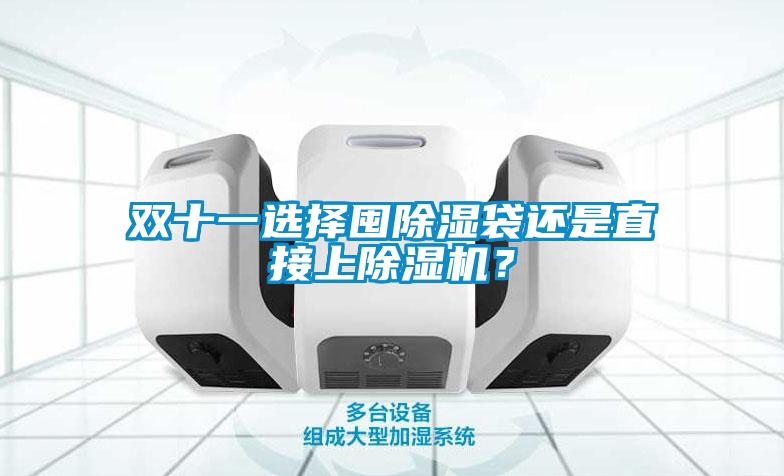 雙十一選擇囤除濕袋還是直接上除濕機(jī)？