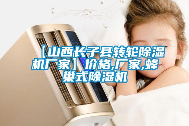 【山西長子縣轉(zhuǎn)輪除濕機(jī)廠家】價格,廠家,蜂巢式除濕機(jī)