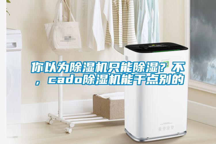 你以為除濕機(jī)只能除濕？不，cado除濕機(jī)能干點(diǎn)別的