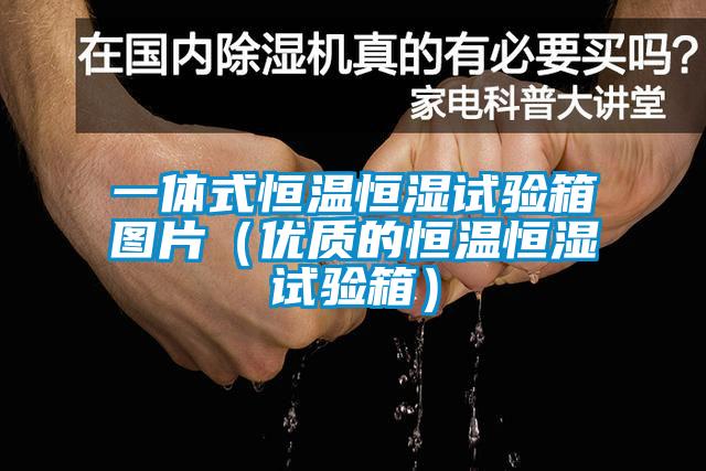 一體式恒溫恒濕試驗箱圖片（優(yōu)質(zhì)的恒溫恒濕試驗箱）