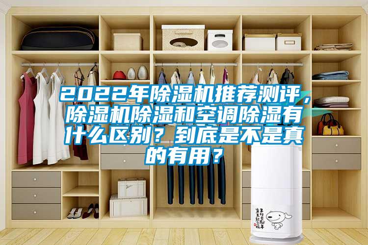 2022年除濕機推薦測評，除濕機除濕和空調除濕有什么區別？到底是不是真的有用？