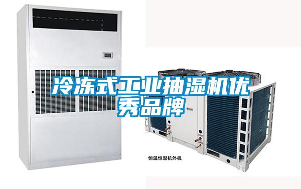 冷凍式工業(yè)抽濕機優(yōu)秀品牌