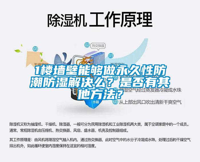 1樓墻壁能夠做永久性防潮防濕解決么？是否有其他方法？