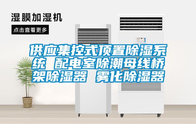 供應集控式頂置除濕系統(tǒng) 配電室除潮母線橋架除濕器 霧化除濕器
