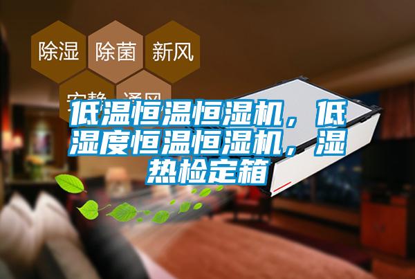 低溫恒溫恒濕機(jī)，低濕度恒溫恒濕機(jī)，濕熱檢定箱