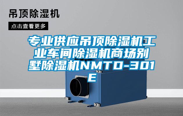 專業(yè)供應(yīng)吊頂除濕機(jī)工業(yè)車間除濕機(jī)商場別墅除濕機(jī)NMTD-301E