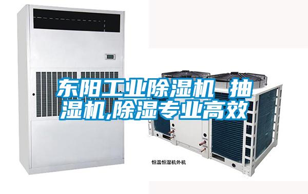 東陽(yáng)工業(yè)除濕機(jī) 抽濕機(jī),除濕專業(yè)高效
