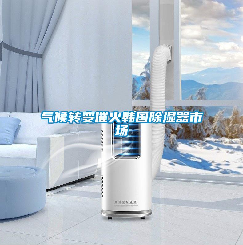 氣候轉(zhuǎn)變催火韓國除濕器市場(chǎng)