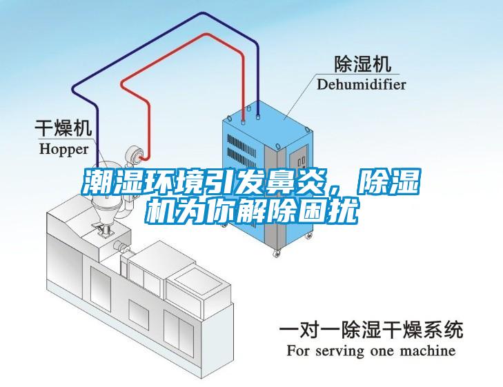 潮濕環境引發鼻炎，除濕機為你解除困擾