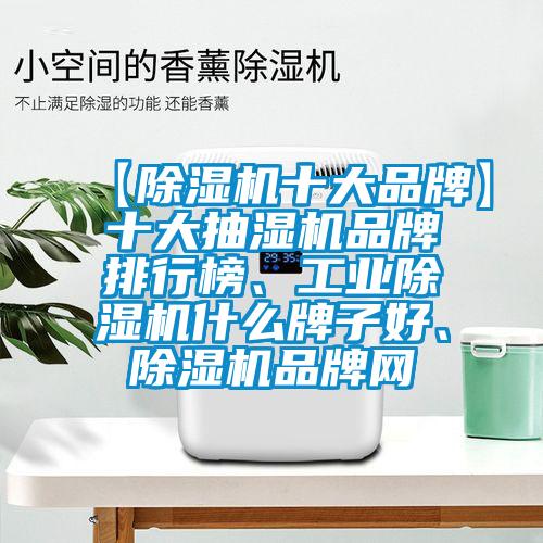 【除濕機十大品牌】十大抽濕機品牌排行榜、工業(yè)除濕機什么牌子好、除濕機品牌網(wǎng)