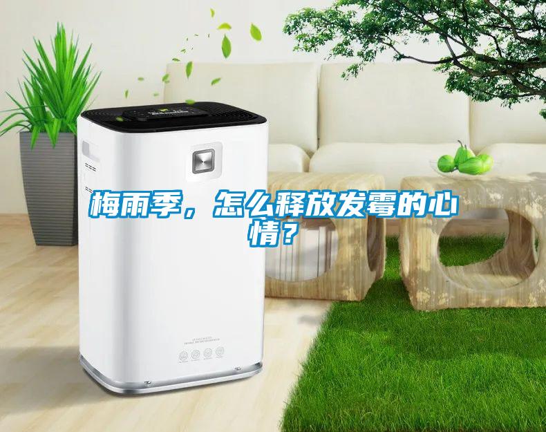 梅雨季，怎么釋放發霉的心情？