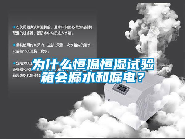 為什么恒溫恒濕試驗箱會漏水和漏電？