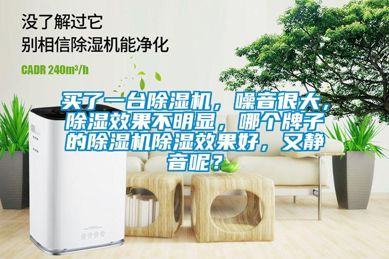 買了一臺除濕機，噪音很大，除濕效果不明顯，哪個牌子的除濕機除濕效果好，又靜音呢？