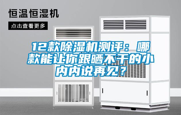 12款除濕機(jī)測(cè)評(píng)：哪款能讓你跟曬不干的小內(nèi)內(nèi)說再見？