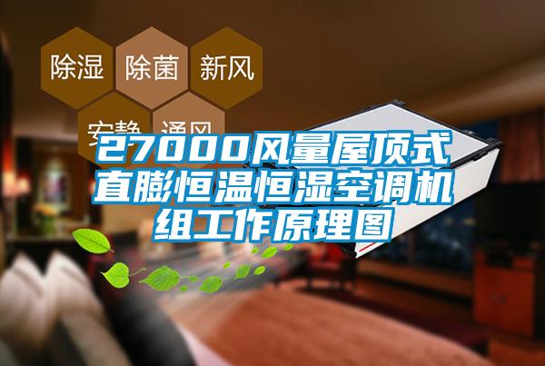27000風量屋頂式直膨恒溫恒濕空調(diào)機組工作原理圖