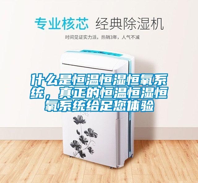 什么是恒溫恒濕恒氧系統，真正的恒溫恒濕恒氧系統給足您體驗