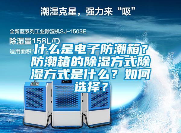 什么是電子防潮箱？防潮箱的除濕方式除濕方式是什么？如何選擇？