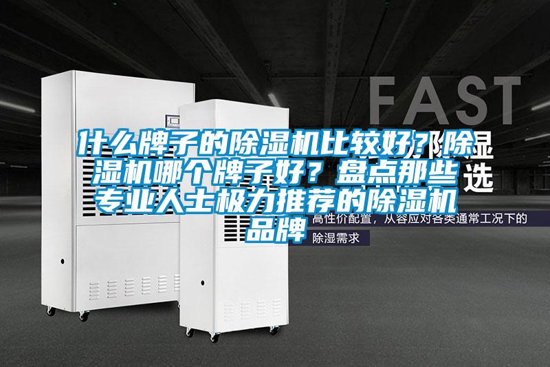 什么牌子的除濕機比較好？除濕機哪個牌子好？盤點那些專業人士極力推薦的除濕機品牌