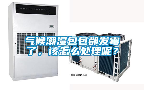 氣候潮濕包包都發霉了，該怎么處理呢？