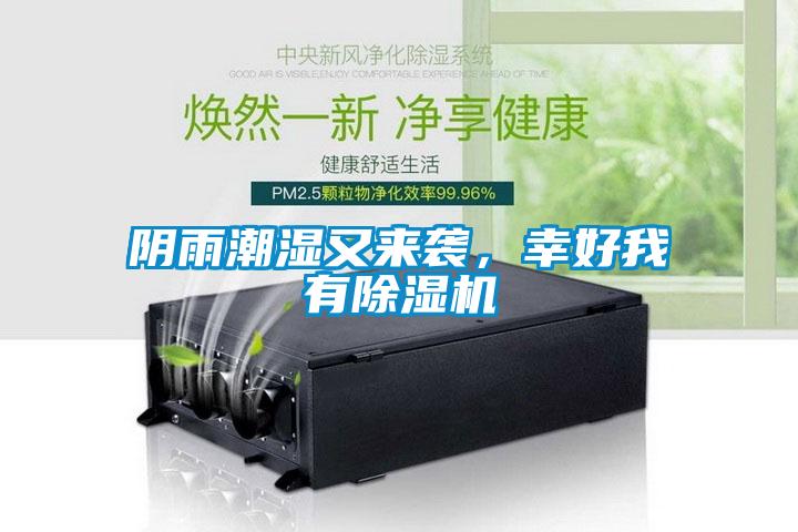 陰雨潮濕又來(lái)襲，幸好我有除濕機(jī)